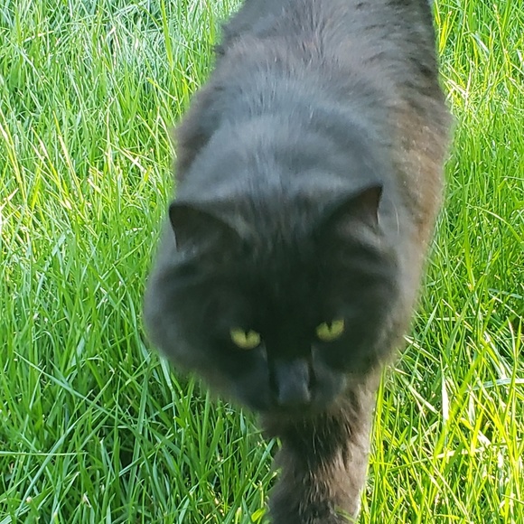 Meet your Posher, Brandi - Picture 4 of 9